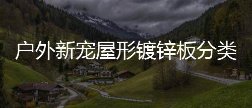 板分类垃新宠镀锌户外圾桶屋形