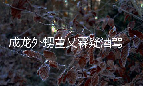 霖疑成龙董又 董么回又霖疑似酒驾酒驾外甥是怎事