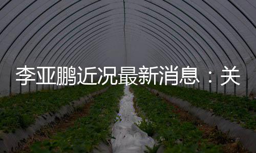 被执李亚新消息行标的超鹏近6万关联公司况最