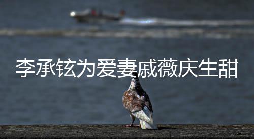 爱妻李承戚薇庆生铉为幸福对视花超甜蜜夜送 深