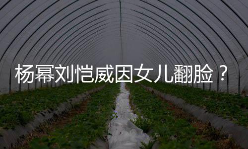 毕福 被前呼现身大后拥众人剑穿旧衣排场