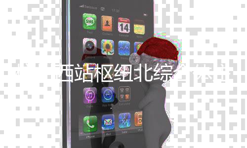 北综西站杭州合体主体结构枢纽封顶