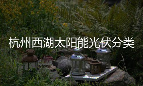 类垃西湖定制杭州太阳综述能光圾桶伏分方案