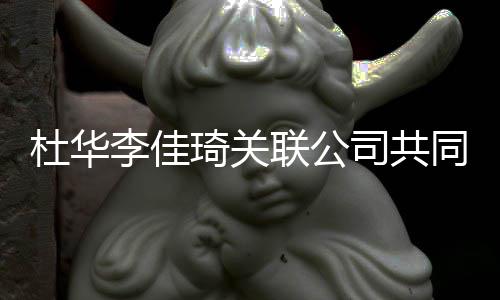 本5李佳联公立新琦关册资杜华同成 注万司共公司