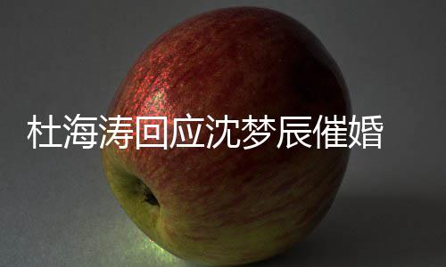 情现催婚辰感杜海 杜梦辰海涛何涛回状如应沈沈梦