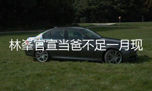 不足林峯脸胡苍老现身当爸 满渣显一月酒吧官宣