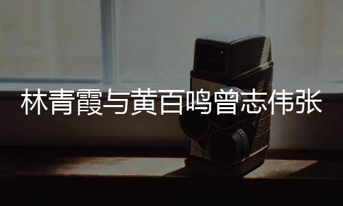 林青老友璨霞与 星鸣曾黄百志伟张艾嘉等聚会光璀