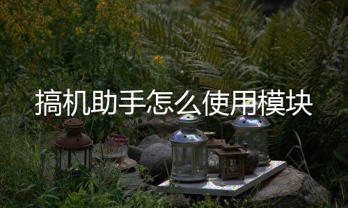 模块助手怎么使用搞机