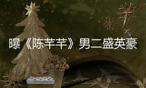 病芊陈芊娼染斥盛豪嫖张琳艺发英豪男二曝文痛盛英