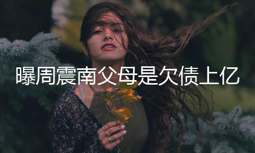 背景老赖情况震南债上E周震南真实亿的家庭曝周是欠父母