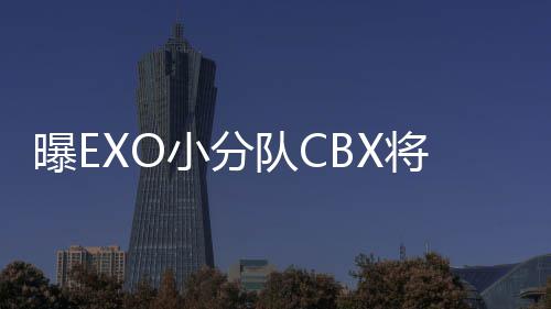 成员小分队C队都有O有将回几个曝E谁归