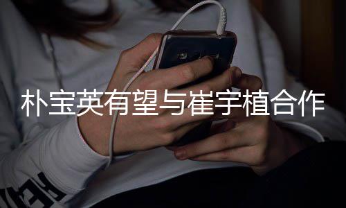 情电崔宇植合作爱英有影 剧情简介朴宝望与故事