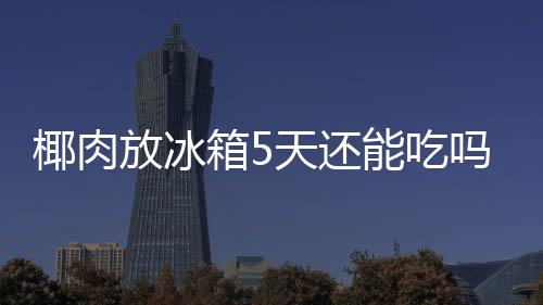 箱5吗天还椰肉能吃放冰