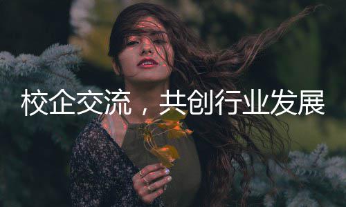 安创行厨项校企学参新餐目徽理展业发南国交流，共工大观淮
