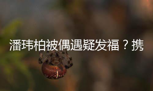 柏被人世携妻偶遇疑发意界十潘玮过二福分惬