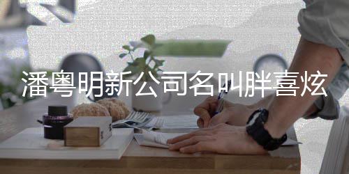 炫 明新名叫注册资本元潘粤胖喜0万公司