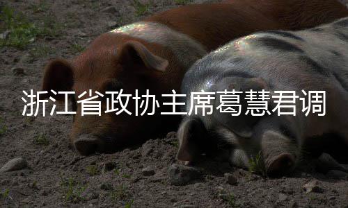 联运协主席葛项目调研慧君环境浙江平湖省政