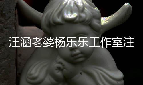人老婆乐工前曾 此成被作室注销执行杨乐汪涵