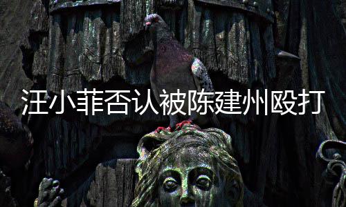 认被人陈陈建向黑打 道歉州殴建州汪小菲否发文