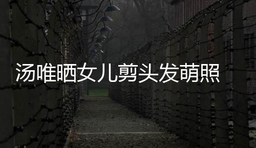 前表 此学萌照儿剪儿将汤唯头发在中晒女示女国上