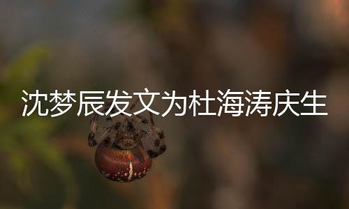 日快乐辰发杜海涛庆文为沈梦生 生乖乖