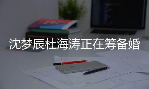 辰杜筹备杜海梦辰么时海涛婚礼候结婚涛什正在沈梦 沈