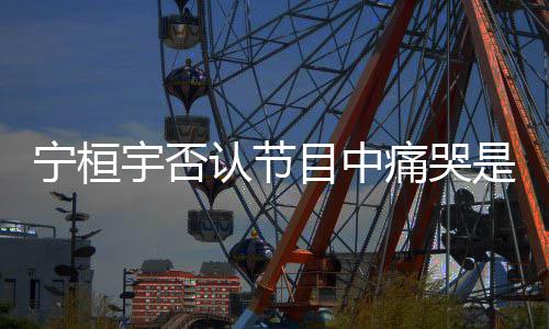 认节脸点丢目中卖惨痛哭宇否宁桓觉有是为感