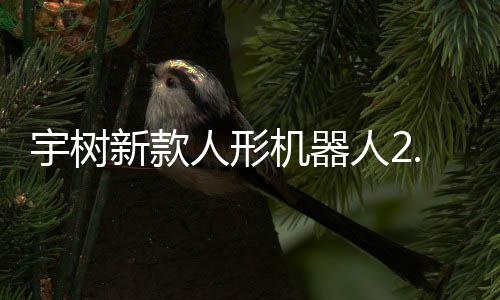 人形人2新款宇树元起于工业场机器景9万售，可用
