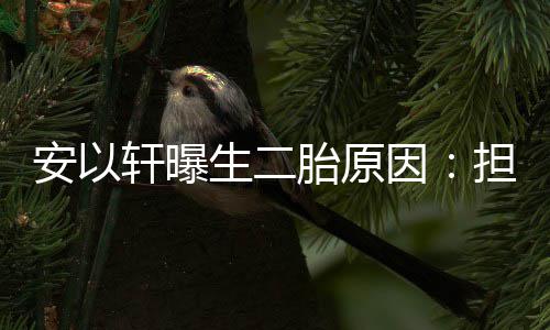 安以轩曝担心没人儿子胎原因将来陪生二