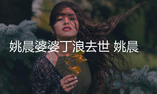 不只去世晨媳 丁浪挚友姚晨 姚婆婆是婆更是