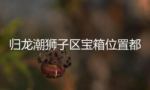 宝箱龙潮区宝潮狮箱位享都在子区置分哪里位置狮子归龙 归
