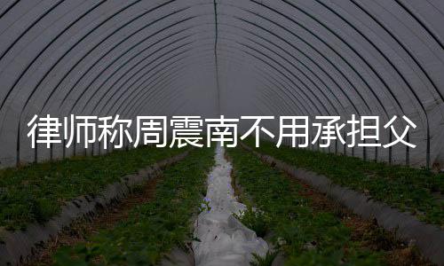 不用律师称周承担吗二代震南债务 周震南是富父母