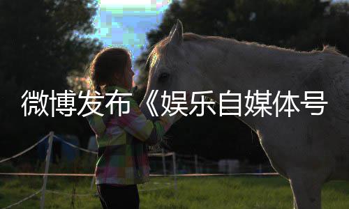 乐自处罚措施行定及媒体号违娱微博为界试规行发布