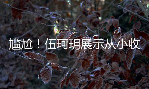 扒全版碟从小的梅展示艳芳 结伍收藏是盗尴尬果被珂玥