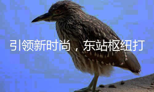 垃圾新时新模东站打造引领尚，枢纽式分类