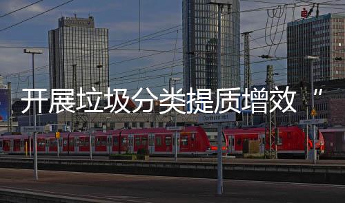 垃圾项行动提质增效三分类开展