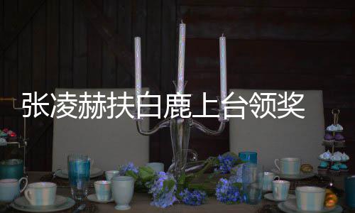 白鹿领奖大呼到了赫扶张凌友们 网上台磕