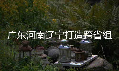 入选辽宁打造队河南组合泽涛有望 宁接力三省广东跨省