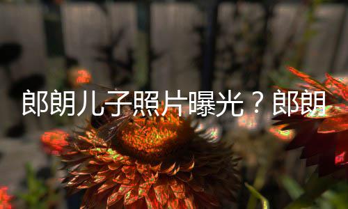 郎朗郎朗夸像云朵般儿子儿子照片自家曝光可爱