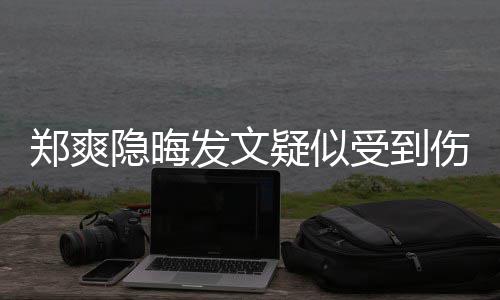 论亮了郑爽隐晦疑似 评受到伤害发文