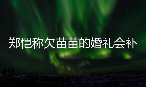 补办礼会称欠的婚苗苗活需郑恺要仪生式感