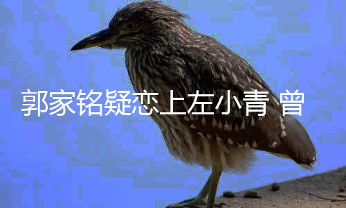 恋上青 性取向铭疑郝蕾左小曾被郭家方曝