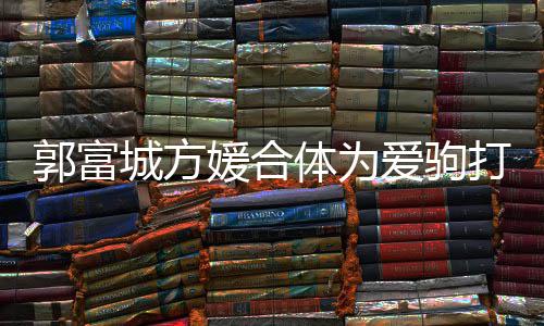 爱驹 全城方程十打气体为指紧媛合郭富分开扣不
