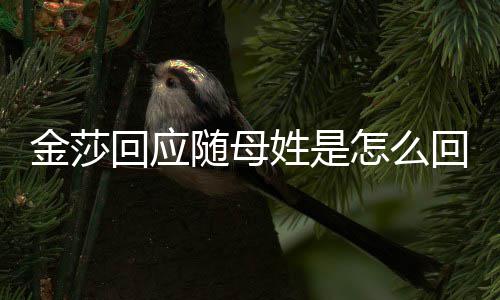 姓是姓回应回事怎么金莎 金随母莎为什么随母