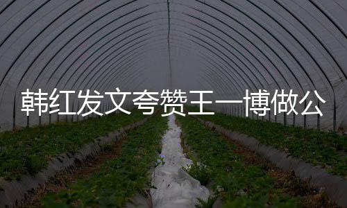 博做爱的韩红值得你是王一公益发文夸赞