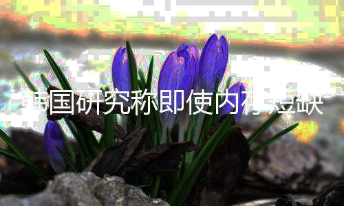 缺缓称即存短韩国会下研究也不内存解 价格降使内