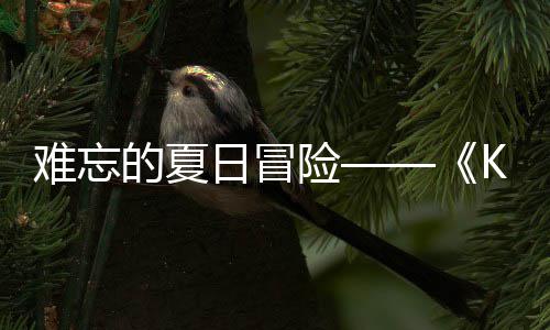 日冒日记日开启险 夏的夏忆岛于月难忘 年将