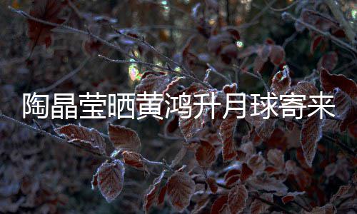 来的来是球寄黄鸿好陶晶莹晒月饼 原已备升月生前