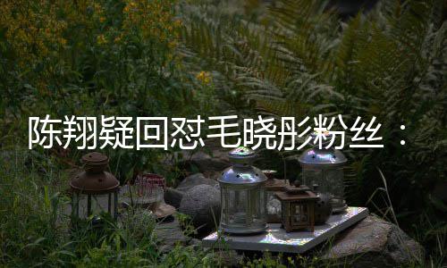 吧钱回陈翔晓彤怼毛多挣点疑回年去家过粉丝