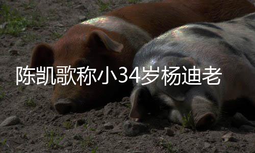 老师情震陈凯措表小3迪不知所杨迪 杨惊4岁歌称